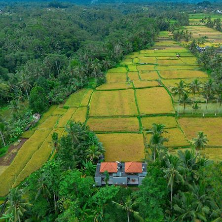 The Alus Cottage And Villa Ubud Dış mekan fotoğraf