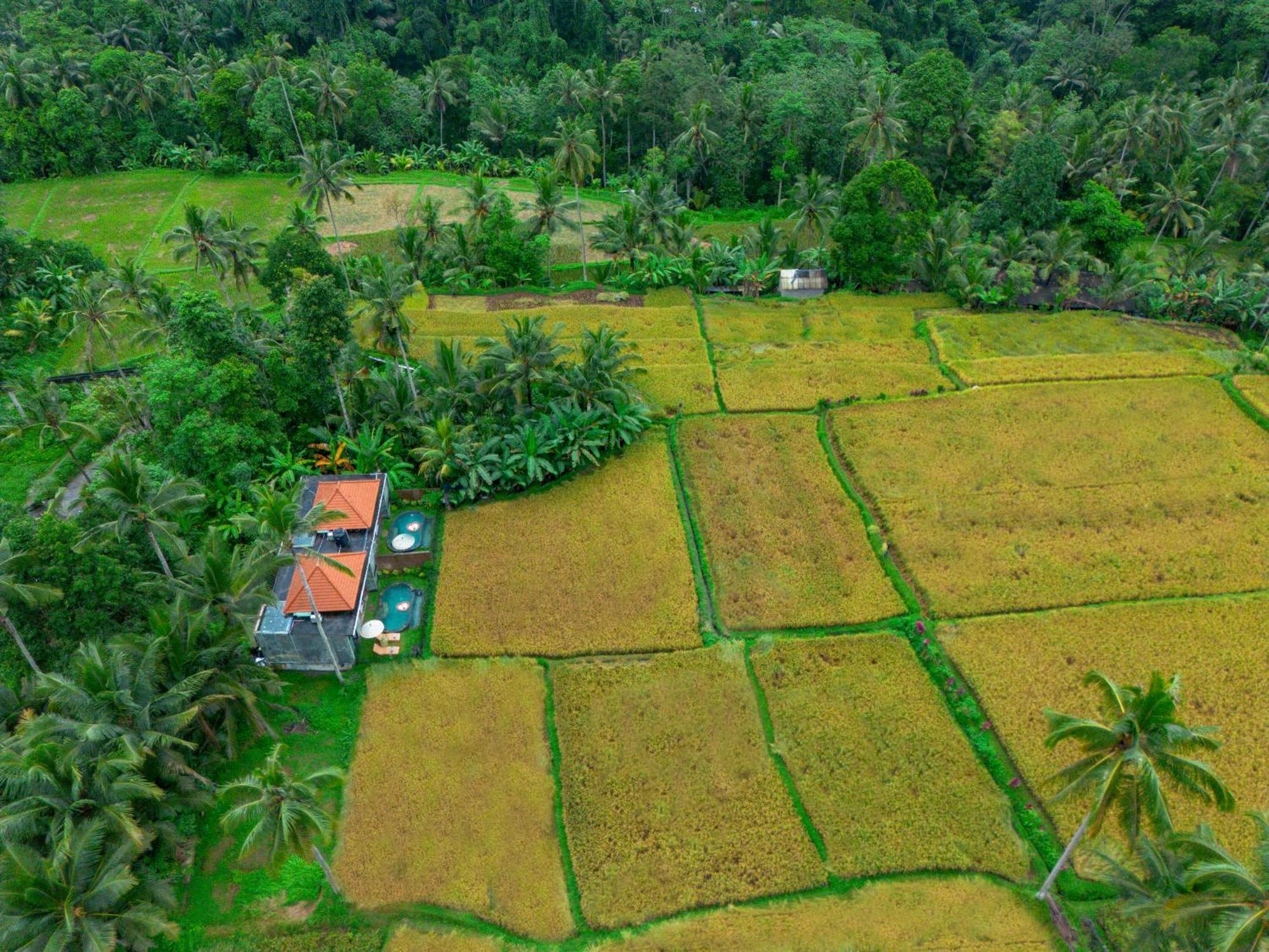 The Alus Cottage And Villa Ubud Dış mekan fotoğraf
