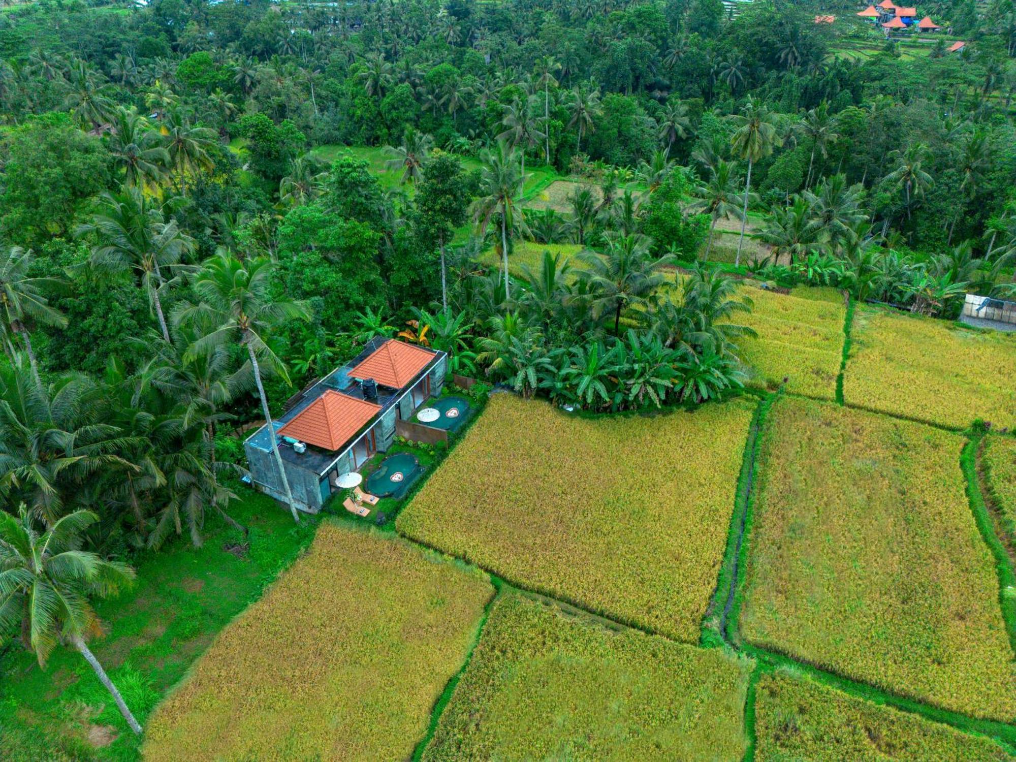 The Alus Cottage And Villa Ubud Dış mekan fotoğraf