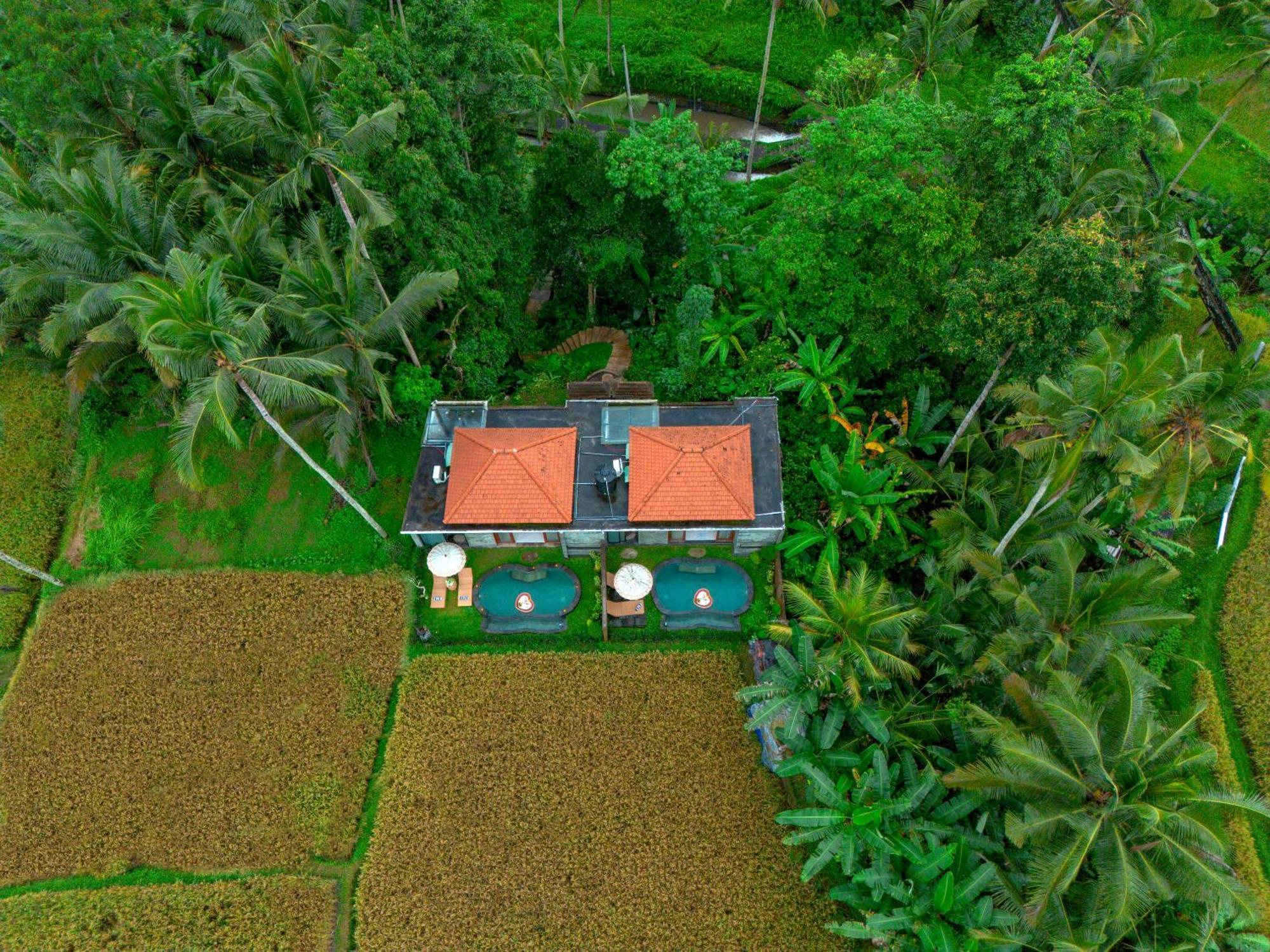 The Alus Cottage And Villa Ubud Dış mekan fotoğraf